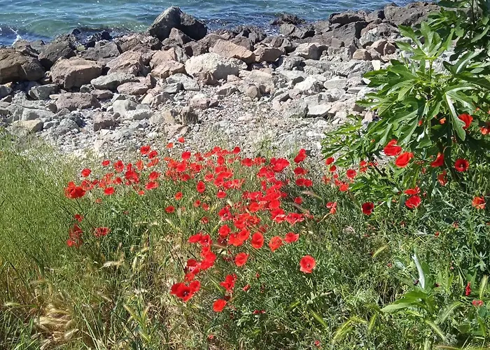 Διαμέρισμα Nessebar, Studio,south Beach, Larisa